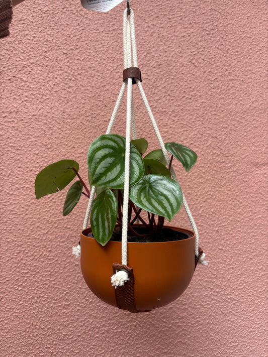 Alça Artesanal Raiz 53cm - Marrom
