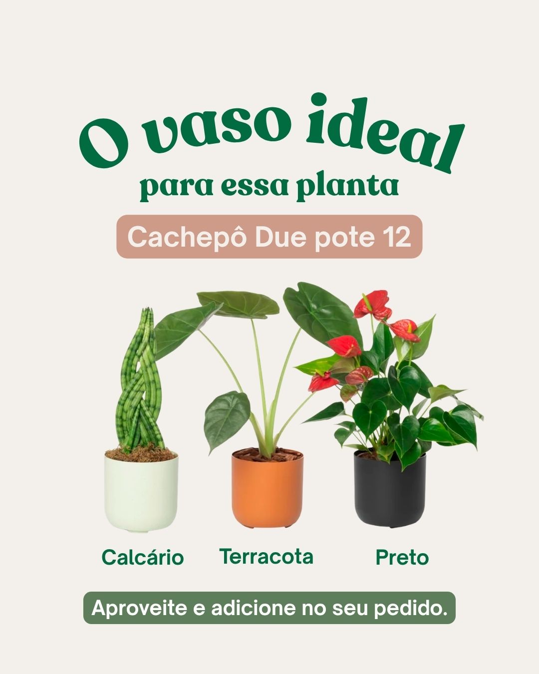 Cachepô 12 - Vaso Calcário